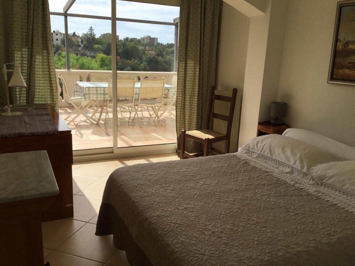 Villa Paradiso, Logement Avec Piscine, Nice Nord Bagian luar foto