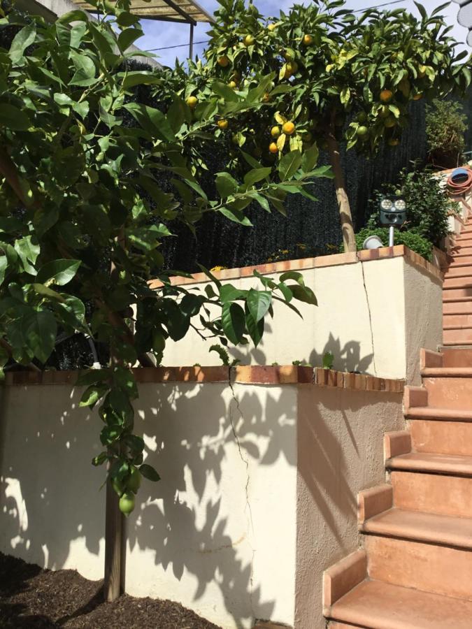 Villa Paradiso, Logement Avec Piscine, Nice Nord Bagian luar foto